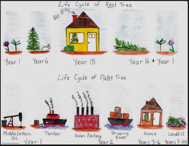Ask Eartha What are the environmental concerns for a real and a fake