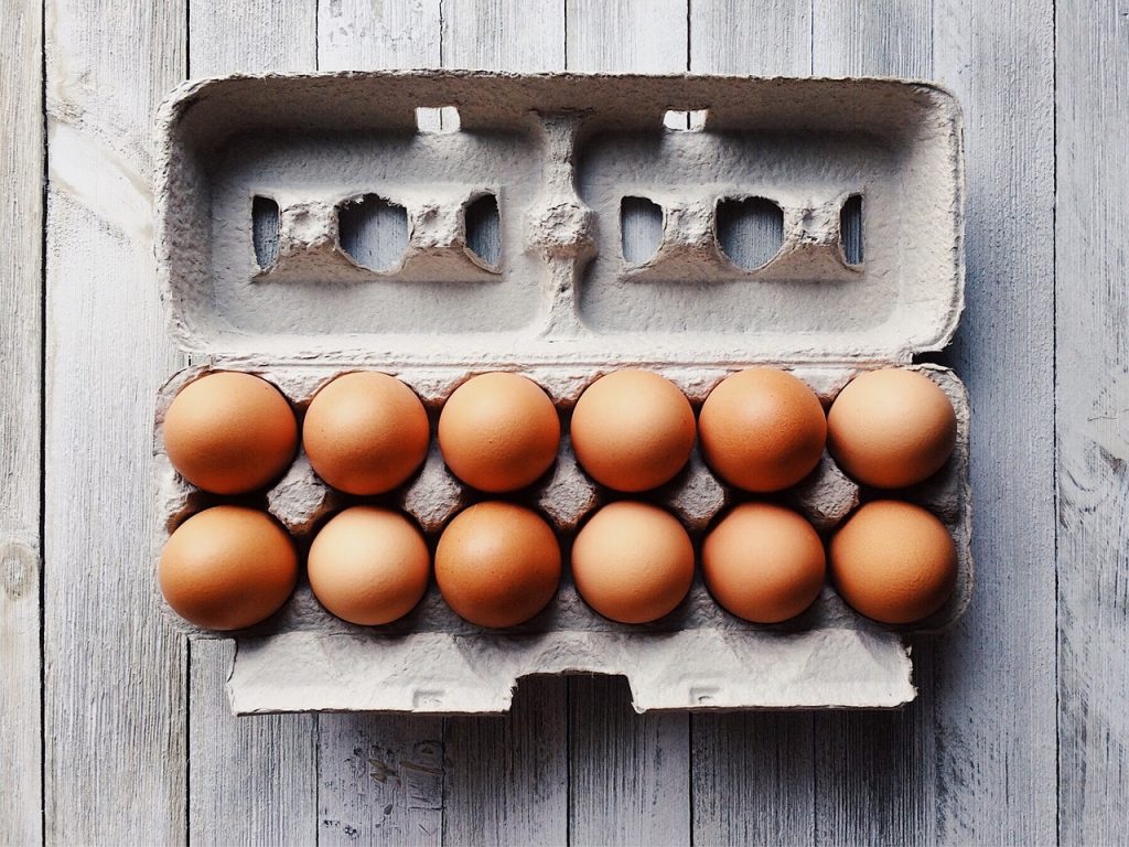 Egg Cartons - Recycle